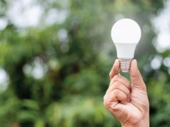 hand holding a light bulb