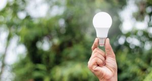 hand holding a light bulb