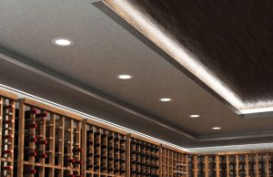 Cellar with downlights